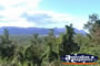 View from Ingham Lookout