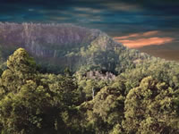 Kenilworth Bluff