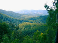 Kenilworth State Forest