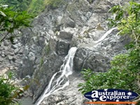 View of Kuranda Waterfall . . . CLICK TO ENLARGE