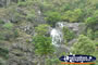 Kuranda Scenery
