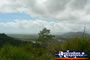Kuranda View