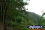 Scenic View of Kuranda