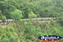 View of Kuranda Scenic Railway Train . . . CLICK TO ENLARGE
