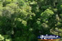 View above Kuranda Forest