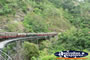 Kuranda Scenic Railway Stoney Creek Falls Train . . . CLICK TO ENLARGE