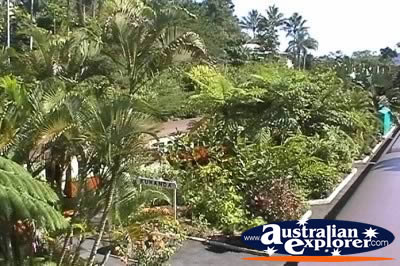 Kuranda Scenic Railway Station Entrance . . . CLICK TO VIEW ALL KURANDA SCENIC RAILWAY POSTCARDS