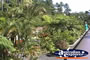 Kuranda Scenic Railway Station Entrance . . . CLICK TO ENLARGE