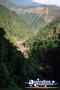 Kuranda Skyrail . . . CLICK TO ENLARGE
