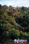 Kuranda Skyrail . . . CLICK TO ENLARGE