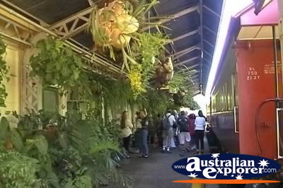 Kuranda Train Station . . . CLICK TO VIEW ALL KURANDA SCENIC RAILWAY POSTCARDS