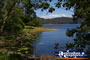 View of Lake Baroon . . . CLICK TO ENLARGE