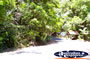 Lake Baroon Street . . . CLICK TO ENLARGE