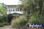 Lake Barrine Tea Rooms . . . CLICK TO ENLARGE