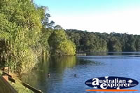 View of Lake Eacham . . . CLICK TO ENLARGE