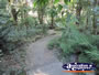 Botanic Gardens . . . CLICK TO ENLARGE