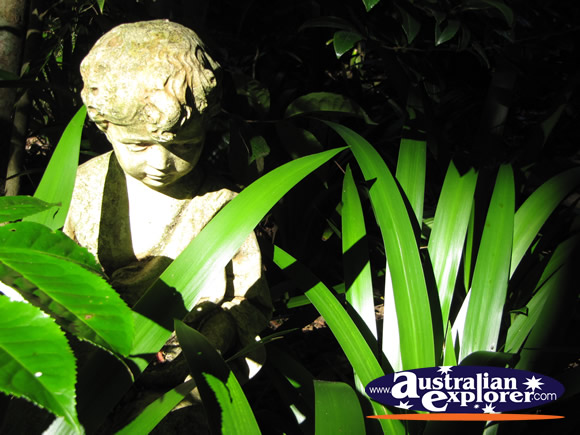 Botanic Gardens Plants and Statue . . . CLICK TO VIEW ALL LAMINGTON NATIONAL PARK POSTCARDS
