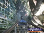View from Tree Top Platform . . . CLICK TO ENLARGE