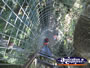 Climbing Tree Top Platform . . . CLICK TO ENLARGE