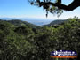 View from Viewing Platform . . . CLICK TO ENLARGE