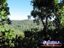 Landscape View from Viewing Platform . . . CLICK TO ENLARGE