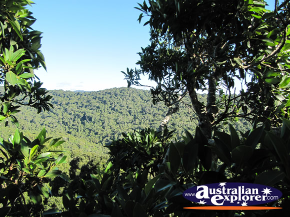 Landscape View from Viewing Platform . . . CLICK TO VIEW ALL LAMINGTON NATIONAL PARK POSTCARDS