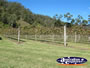 Vineyard Landscape . . . CLICK TO ENLARGE