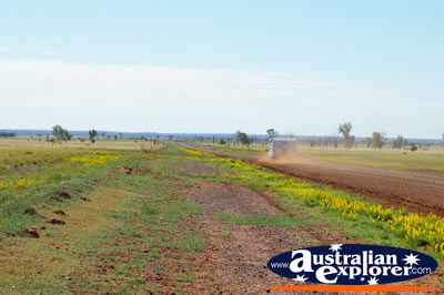 Track to Muttaburra . . . CLICK TO VIEW ALL LONGREACH POSTCARDS