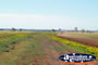 Track to Muttaburra