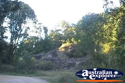 Lumholtz National Park . . . CLICK TO VIEW ALL WALLAMAN FALLS POSTCARDS