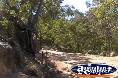 Fort Walking Trail on Magnetic Island  . . . CLICK TO VIEW ALL MAGNETIC ISLAND (WALKING TRAILS) POSTCARDS