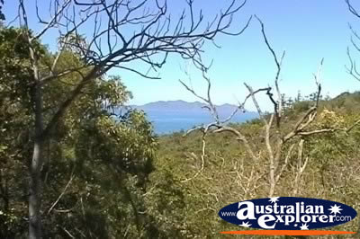 View of Magnetic Island from Fort Walking Trail . . . VIEW ALL MAGNETIC ISLAND (WALKING TRAILS) PHOTOGRAPHS