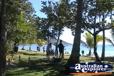 Magnetic Island Horseshoe Bay Park . . . CLICK TO VIEW ALL MAGNETIC ISLAND (BAYS) POSTCARDS