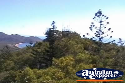 Magnetic Island Views of Trees from Tower . . . VIEW ALL MAGNETIC ISLAND (TOWER LOOKOUT) PHOTOGRAPHS