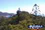Magnetic Island Views of Trees from Tower