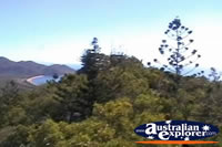 Magnetic Island Views of Trees from Tower . . . CLICK TO ENLARGE