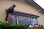 Statue in Mapleton . . . CLICK TO ENLARGE