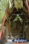 Marineland Melanesia . . . CLICK TO ENLARGE