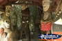 Marineland Melanesia . . . CLICK TO ENLARGE