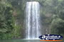 Millaa Millaa Falls . . . CLICK TO ENLARGE