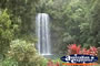 The Beautiful Millaa Millaa Falls . . . CLICK TO ENLARGE