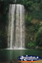 Millaa Millaa Falls Close Up . . . CLICK TO ENLARGE