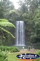 Millaa Millaa Falls from a Distance . . . CLICK TO ENLARGE