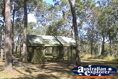 Millstream National Park Picnic Area . . . CLICK TO VIEW ALL MILLSTREAM NP POSTCARDS