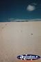 Moreton Island . . . CLICK TO ENLARGE