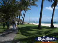 Moreton Island Resort and Beach . . . CLICK TO ENLARGE