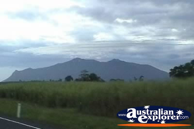 Mt Bartle Frere . . . VIEW ALL WALSHS PYRAMID PHOTOGRAPHS