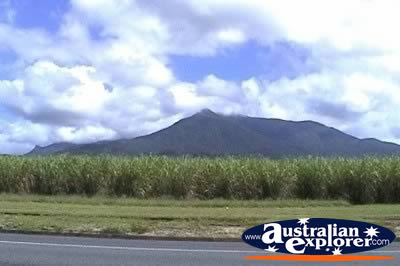 View of Mt Bartle Frere . . . CLICK TO VIEW ALL WALSHS PYRAMID POSTCARDS