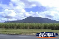 View of Mt Bartle Frere . . . CLICK TO ENLARGE