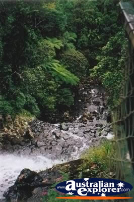 Mungalli Falls Bottom . . . VIEW ALL MUNGALLI FALLS PHOTOGRAPHS
